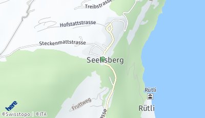 Standort Seelisberg (UR)